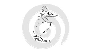 Grebe drawing dot-to-dot and become animation