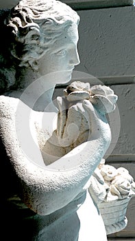 Grecian Statue of Venus