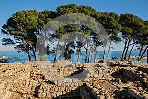Greco roman ruins of Emporda, trees and sea