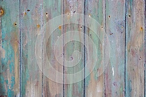 Gree Wood grunge Texture image photo