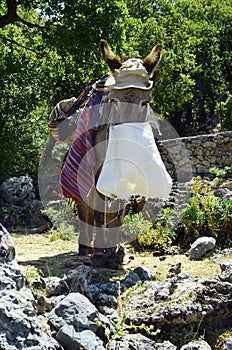 Greece, Crete, Donkey