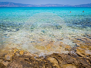 Greece, Crete: Golden Beach in Chrysi island, one of the wildness in the world.