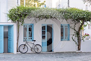 Greece, Cyclades. Folegandros island,Whitewashed wall with flowering jasmine