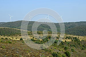 Greece, Dadia Forest