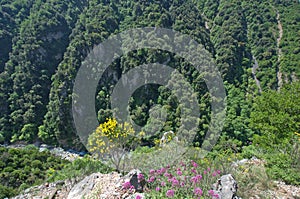 Greece Epirus, Tzoumerka National Park