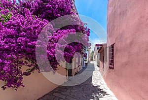 Greece, historic neighborhood of Plaka and Anafiotika in Athens with restaurants near Acropolis