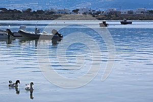 Greece, the island of Anti Paros.  The placid waters of the islandÃ¢â¬â¢s harbor. photo
