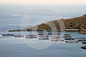 Greece, Kalymnos island, aquaculture settlement