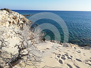 Greece, Kharpathos, Sea, Paradise, Sand, Flower, Plants