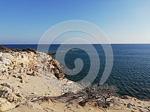 Greece, Kharpathos, Sea, Paradise, Sand, Flower, Plants