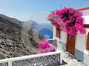 Greece, Kharpathos, Sea, Paradise, Sand, Flower, Plants, details