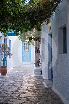 Greece, Melos island, Chora town, Plaka. Blue door plant in amphora, alley Milos Cyclades