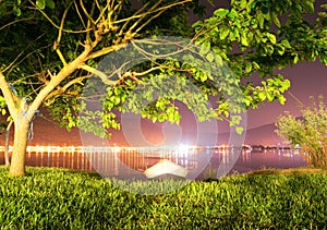 Greece night sea landscape of tree and boat