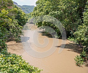 Greece. Pineios River in Vale of Tempi, Thessaly.  River water flow, tree on the bank, above