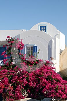 Greece, Santorini Bougainvillea House