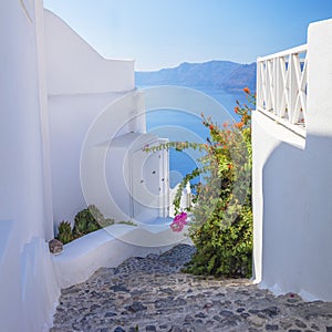 Greece, Santorini island, Oia - white architecture of a narrow street with flowers, steps lead to the sea. Greek Islands,