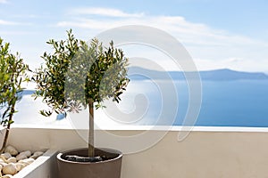 Greece Santorini island travel tourism, idyllic sea bay view, blurred volcano olive plants
