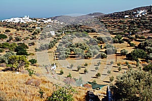 Greece, Sifnos island, landscape near Ano Petali village. photo