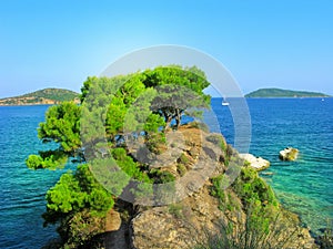 Greece, Skiathos island, seascape with pine trees on rocky cliff