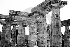 Greece-tempel at Paestum in South-Italy