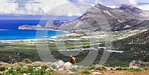 Greece travel . scenic landscape of Crete island.