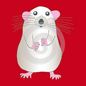 Greedy white metal rat on red background