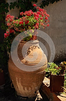 Greek amphora with flowers