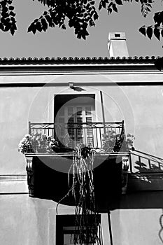 Greek Architecture, vase plant at the balcany. Black and White image