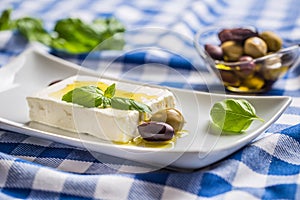 Greek cheese feta with olive oil olives and basil leaves photo