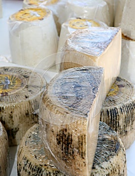 Greek cheeses vertical