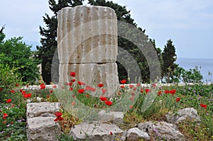 Greek column and excavations on samos photo