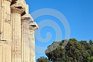 Greek columns in Selinunte photo