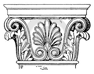 Greek-Corinthian Pilaster Capital, supports,  vintage engraving