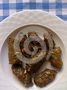 Greek Cuisine. Stuffed Vine Leaves