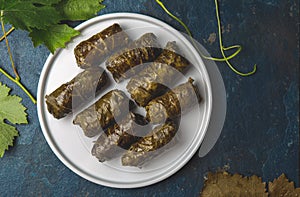 Greek dolmadakia. Rice and meat wrapped in grape leaves. White plate, Blue background
