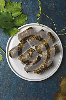Greek dolmadakia. Rice and meat wrapped in grape leaves. White plate, Blue background photo