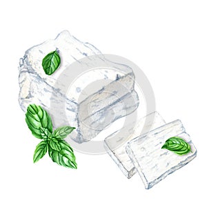 Greek feta cheese block and basil herb composition. Watercolor illustration isolated on a white background