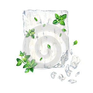Greek feta cheese block and thyme herb composition. Watercolor illustration isolated on a white background