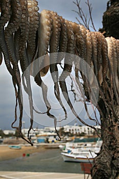 Greek Food, Greece, Octapus