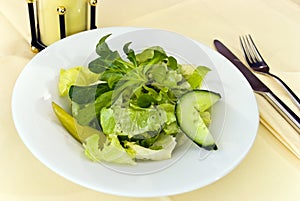 Greek gourmet salad.close up