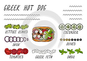 Greek Hot Dog Ingredients Constructor. Feta Cheese, Basil. Olives, Lettuce Salad, Tomato, Cucumber. Fast Food Collection