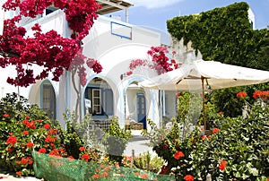 Greek island architecture beautiful flower garden