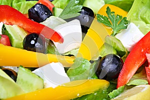 Greek or Italian Salad