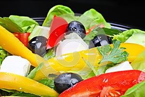 Greek or Italian Salad