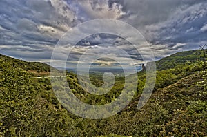 Greek Landscape Macchia