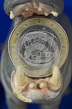 Greek one euro coin in mouth of hippo figurine