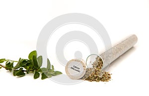 Greek Oregano