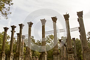 Greek revival pillars of Windsor Ruins, Mississippi