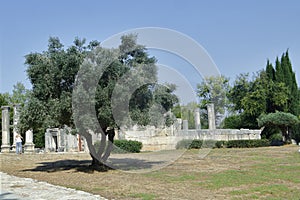 Greek-Roman  ancient ruins, abandoned places. Rock stone wall.