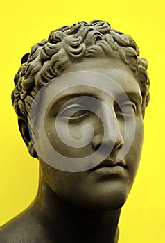 greek-roman bust in a pop art key